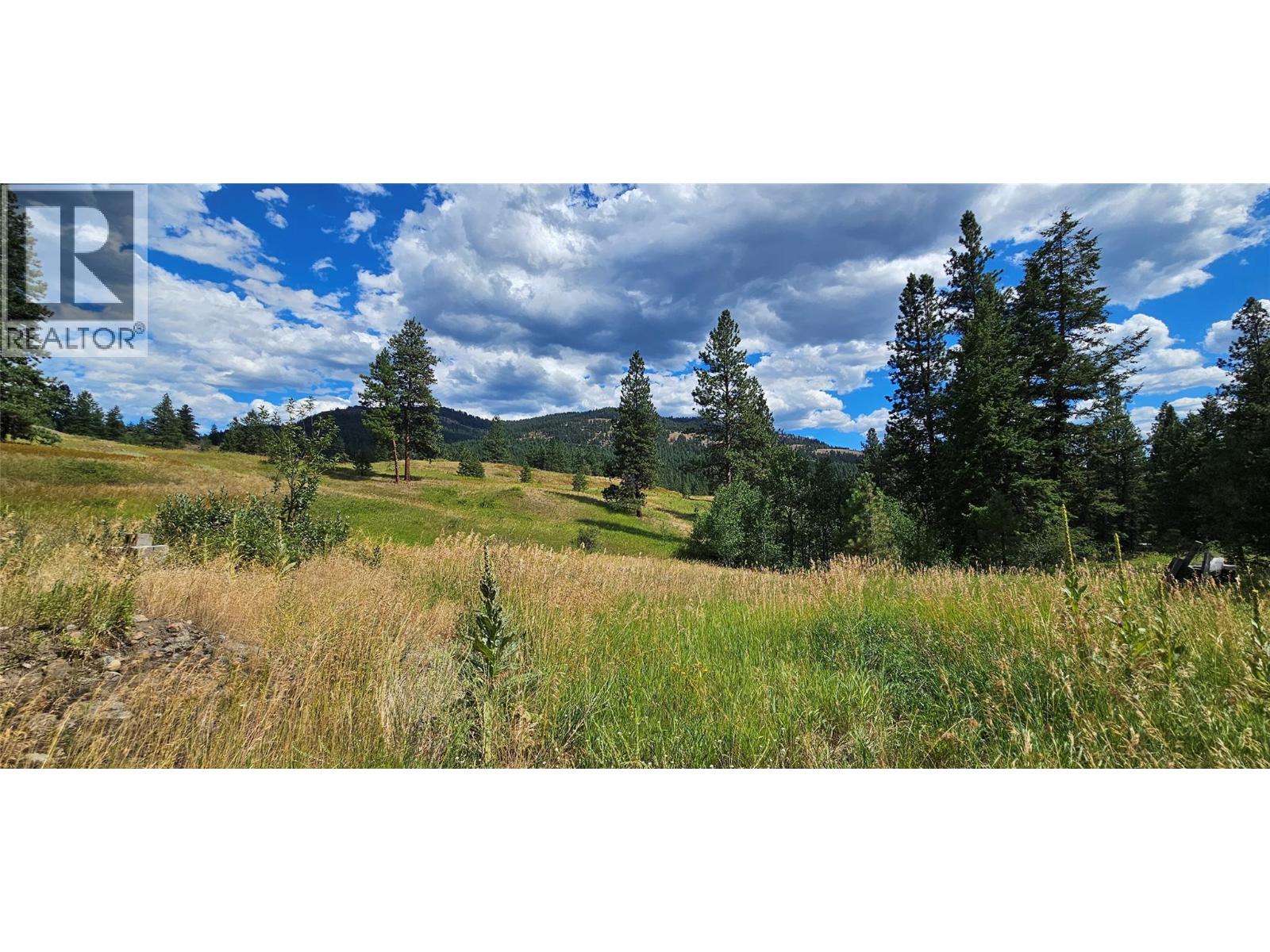 DL 311S NICHOLSON CREEK Road Unit# Lot A, Rock Creek