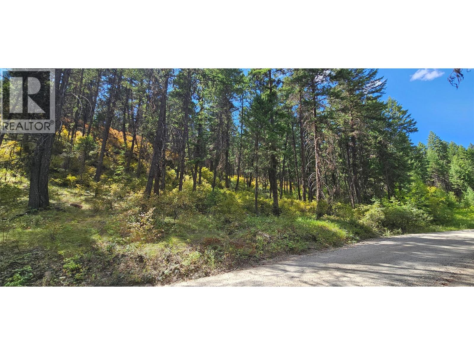 DL 311S NICHOLSON CREEK Road Unit# Lot A, Rock Creek