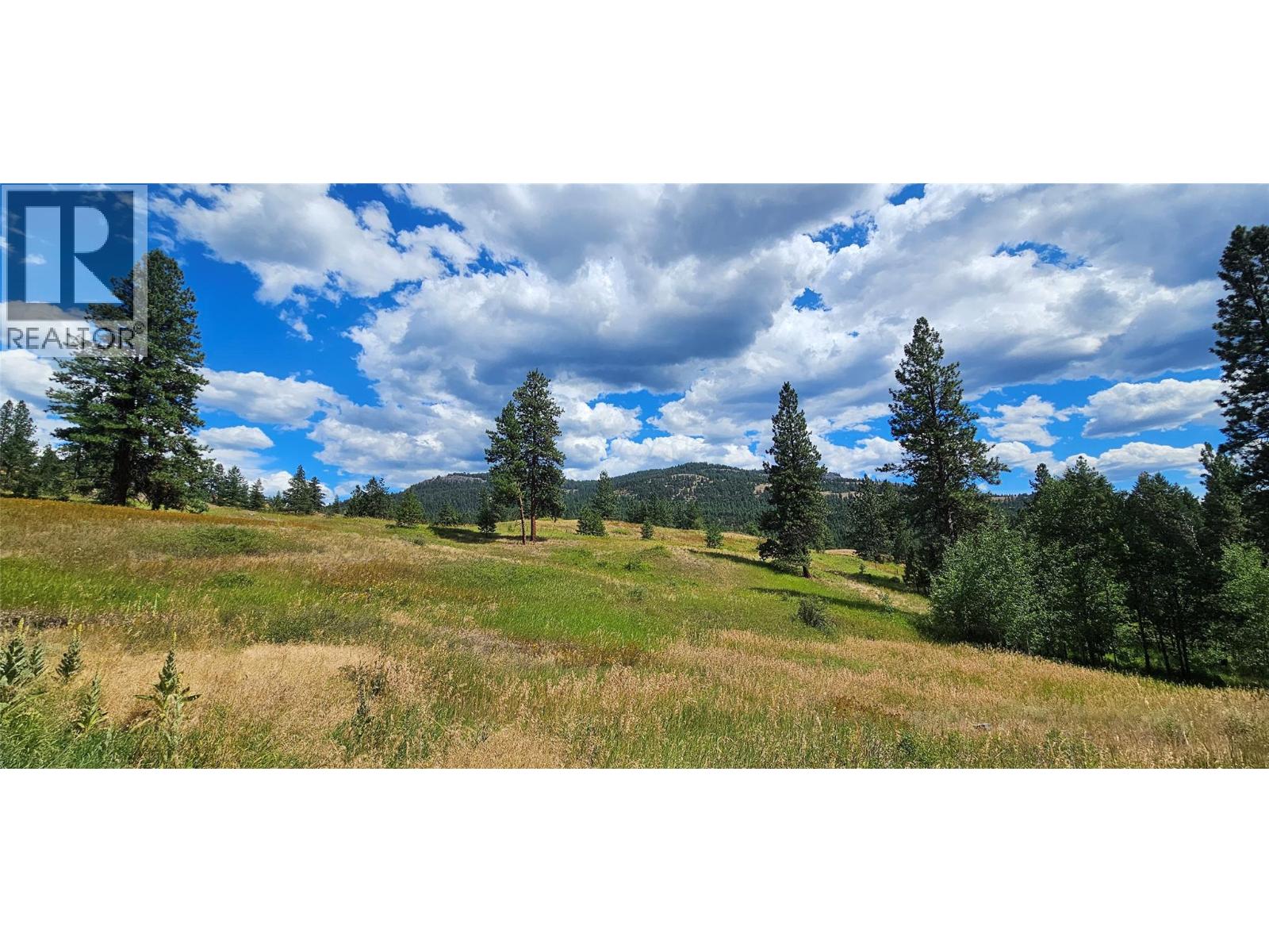 DL 311S NICHOLSON CREEK Road Unit# Lot A, Rock Creek