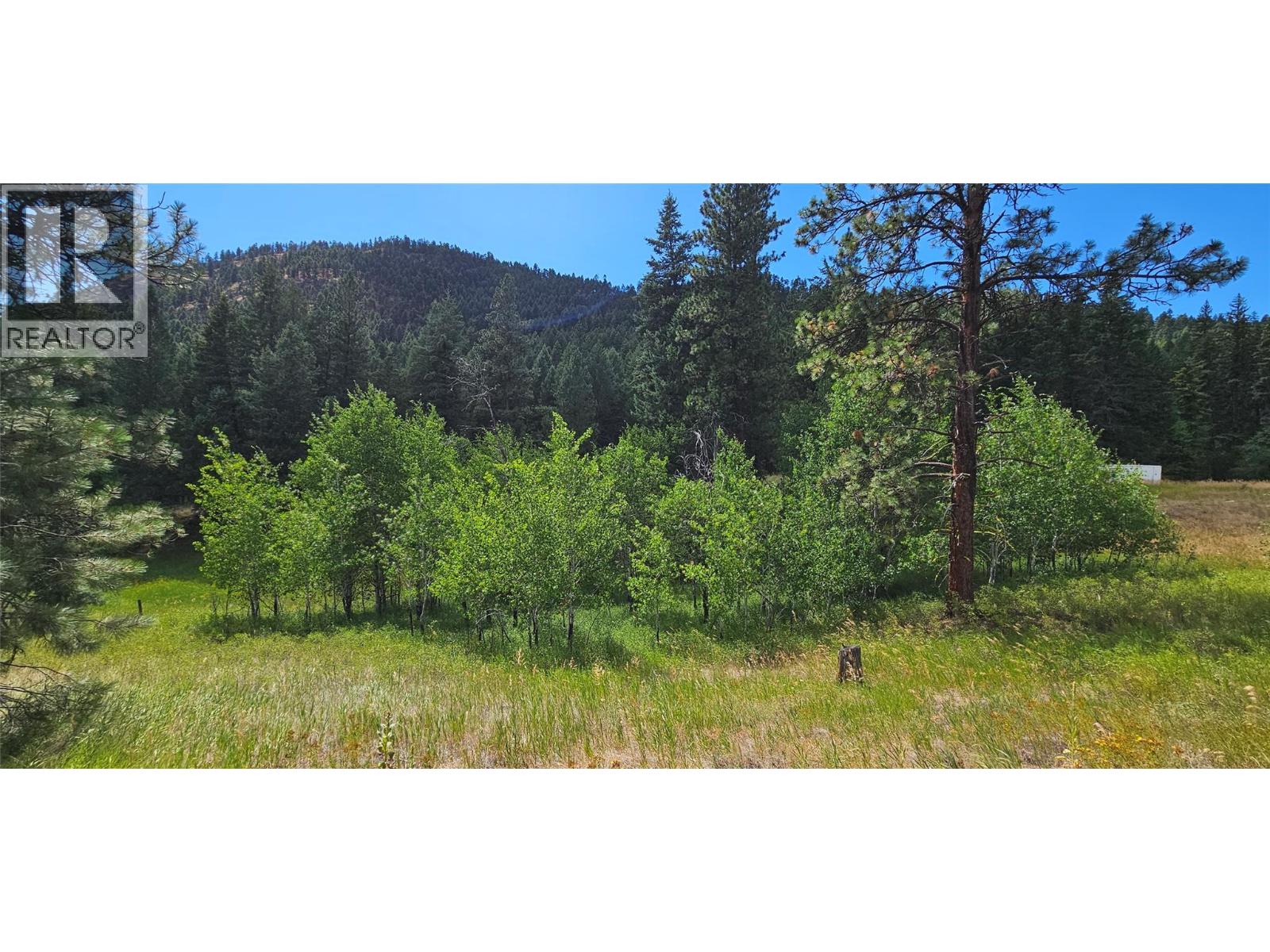 DL 311S NICHOLSON CREEK Road Unit# Lot A, Rock Creek