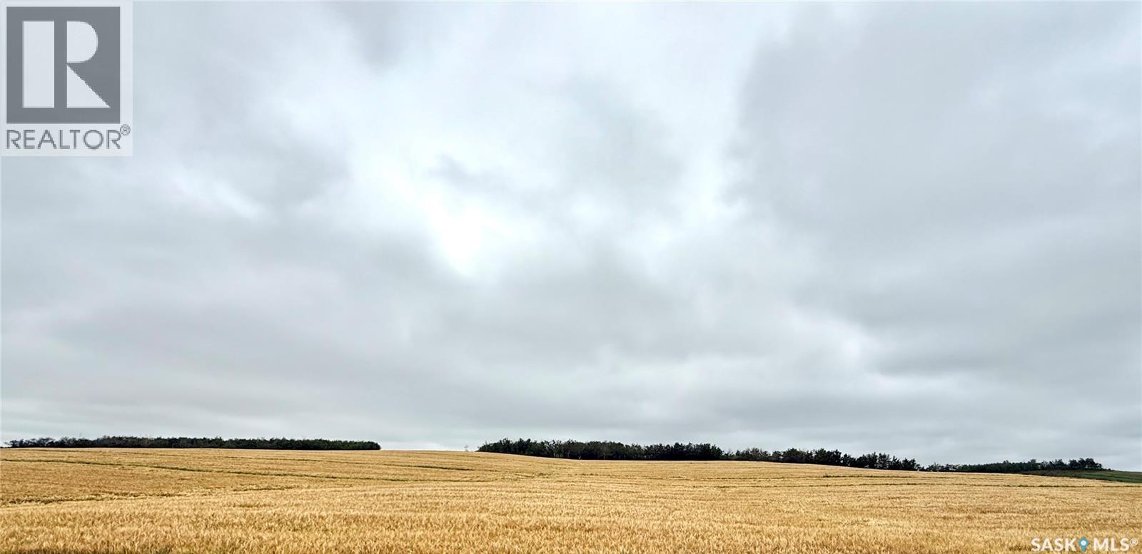 RM of Douglas Acres — photo 11
