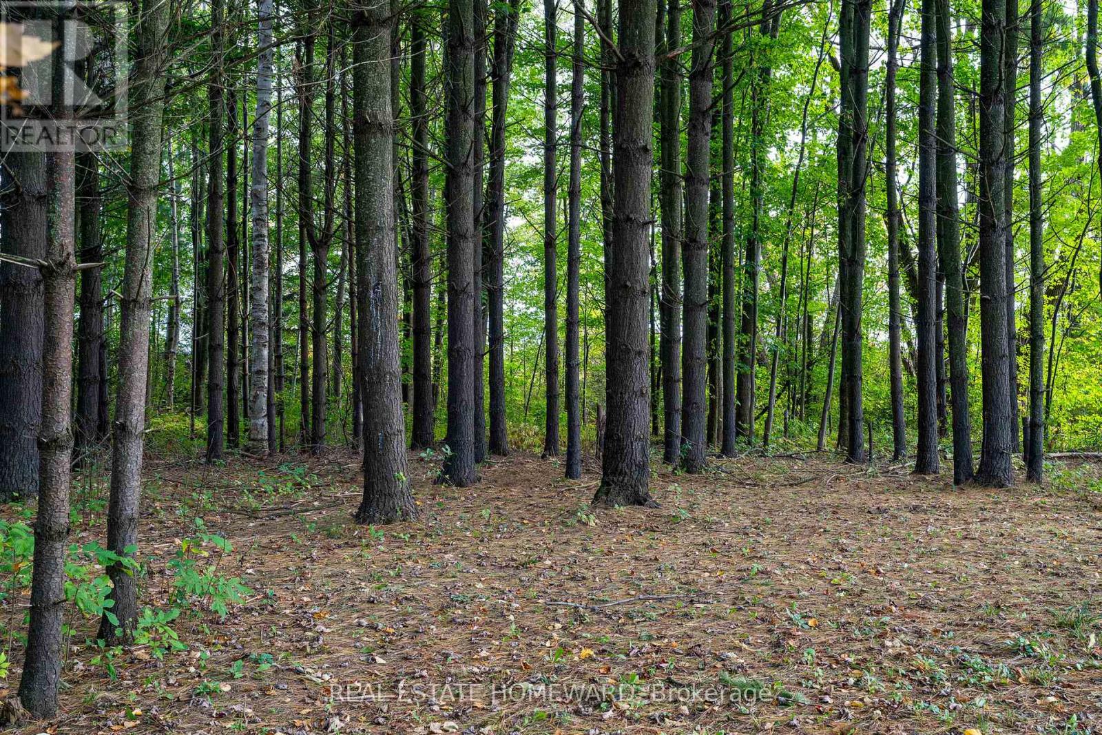 Photo 5 of 1602 County Rd 7 Road, Clearview ON