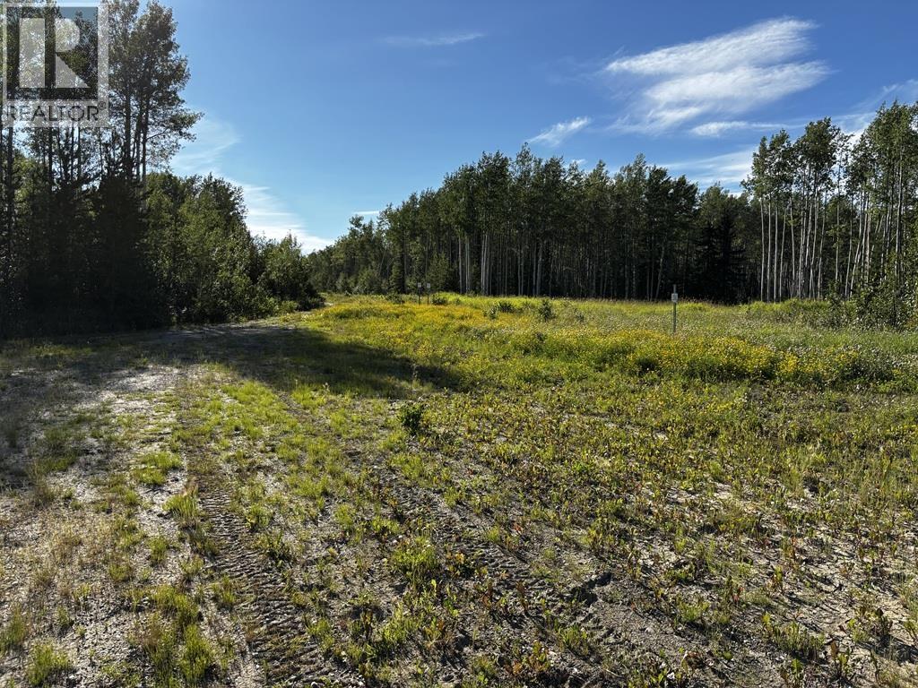Photo 6 of 17408 279 Road, Fort St John BC