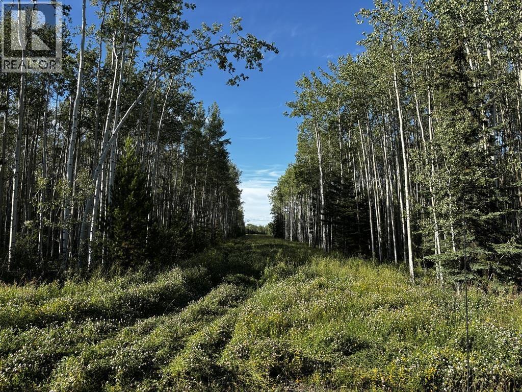Photo 4 of 17493 279 Road, Fort St John BC