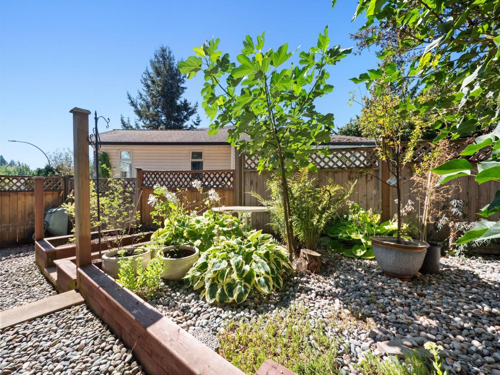 Photo 37 of 31312 Fibish Place, Abbotsford BC