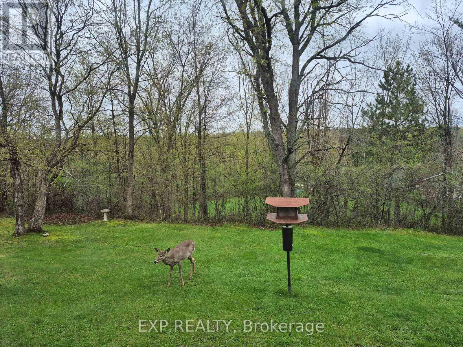 Photo 31 of 301 Opeongo Road, Renfrew ON