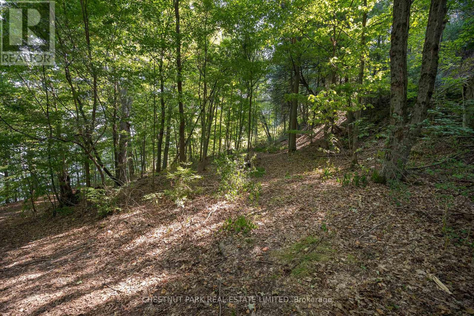 Photo 32 of 2035 County Rd 7, Prince Edward County ON