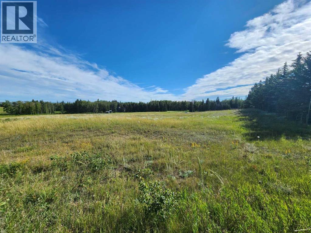 Photo 6 of 256 Briar Road, Rural Lacombe County AB