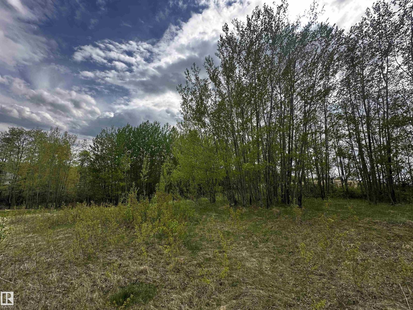 Photo 5 of 31 53120 Rge Road 15, Rural Parkland County AB