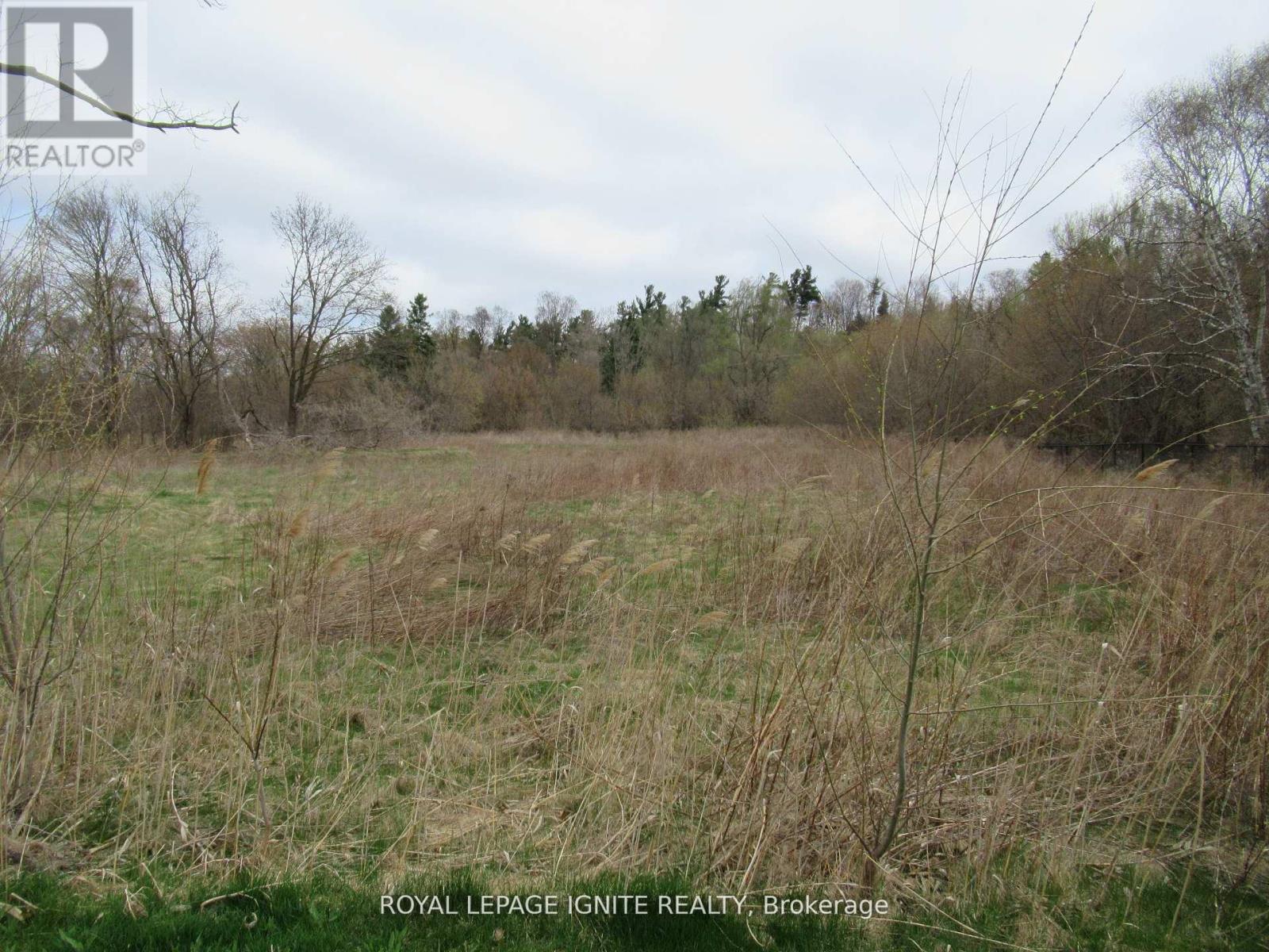 Photo 17 of 13 196 Pine Grove Road, Vaughan ON