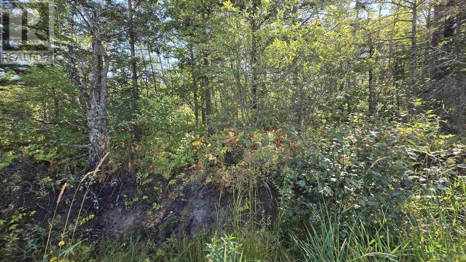 Property 5 of 10 of Lot 21-3 Messenger Road