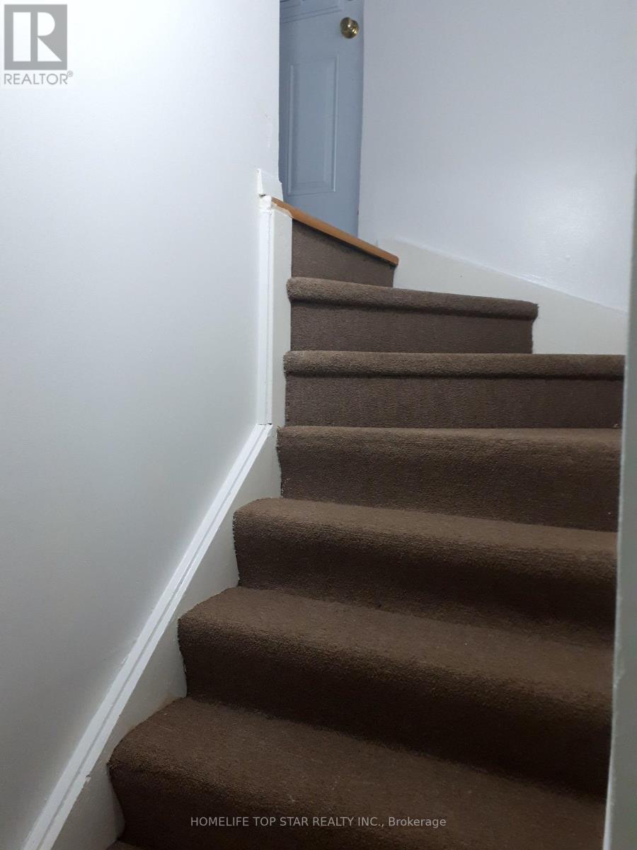 Photo 15 of 159 Heale Avenue, Toronto ON