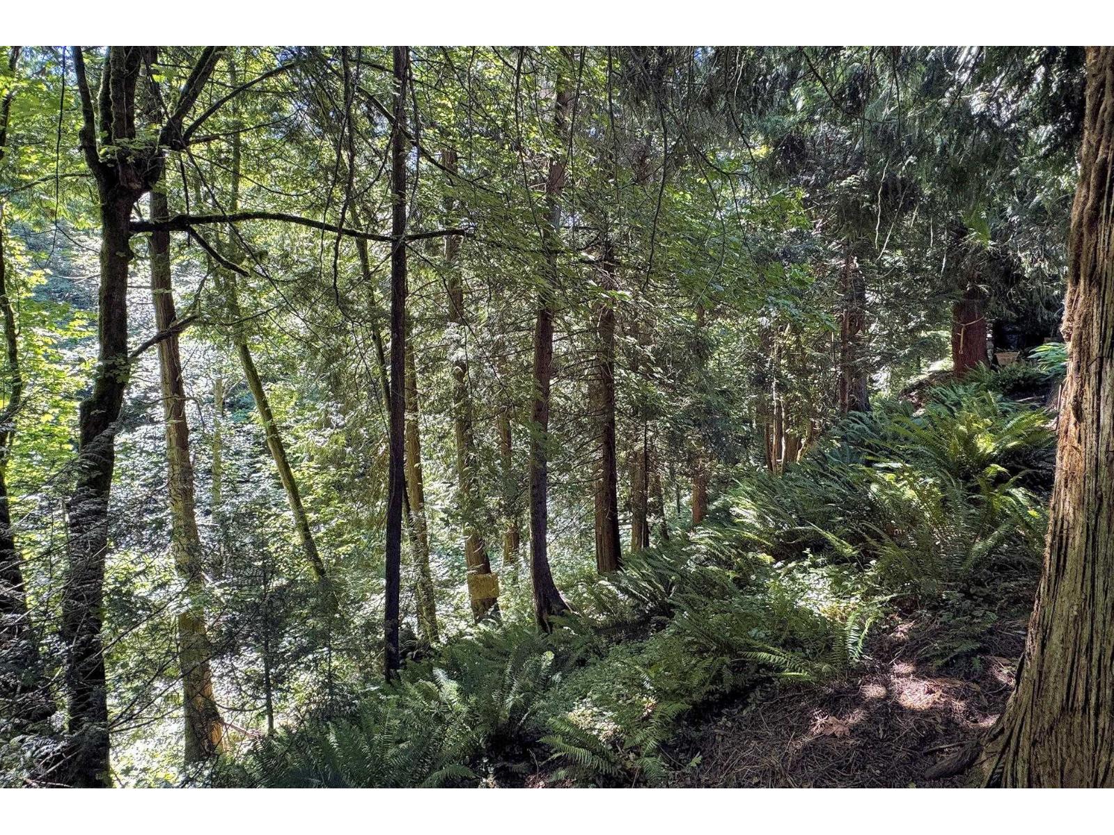 Photo 14 of 4150 197 A Street, Langley BC