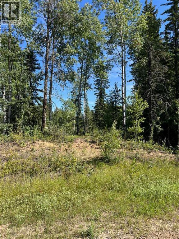 Photo 3 of Sw 21 70 6 W 6, Rural Grande Prairie No 1 County Of AB