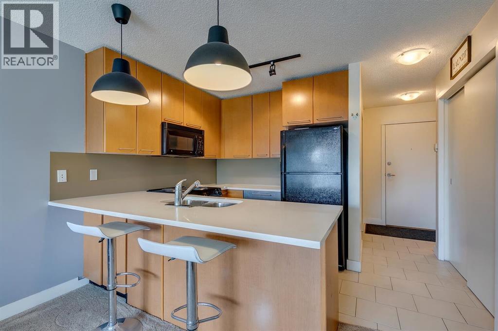 Single Family House for Sale in   Richard Court SW Lincoln Park Calgary 