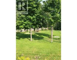 2988 Elphin Maberly Road, Lanark, ON K0G1M0 Photo 11