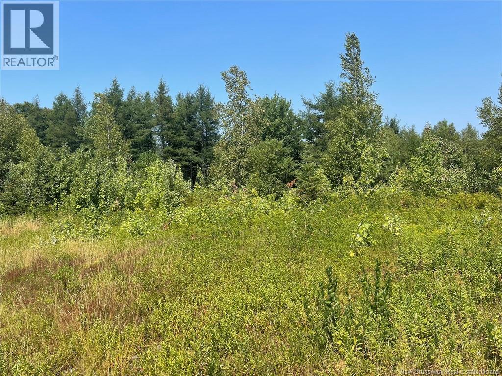 Photo 14 of Herbert Road, Pokemouche NB