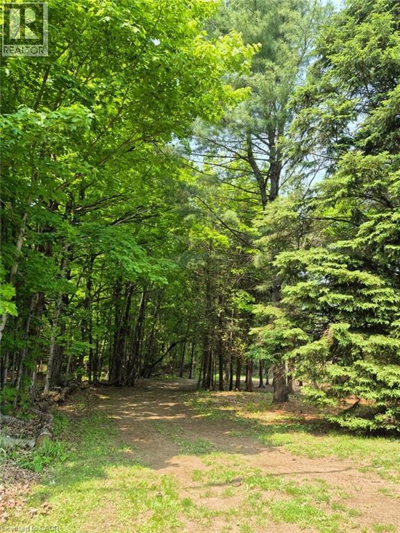 Photo 45 of 1719 Weslemkoon Lake Road, Gilmour ON