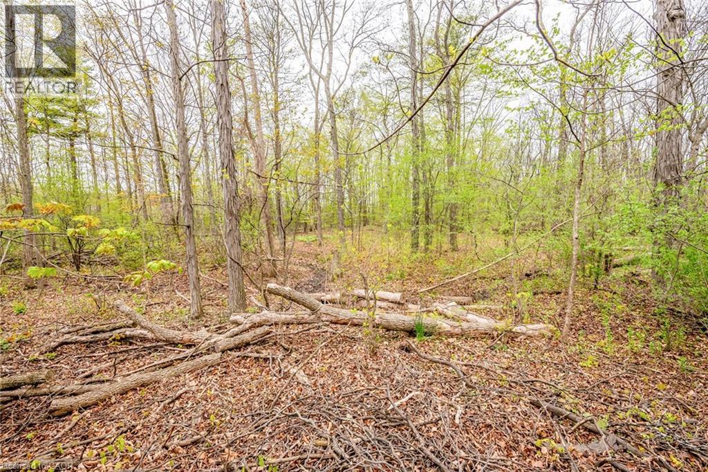 Photo 17 of 122 Forest Hill Road, Grimsby ON