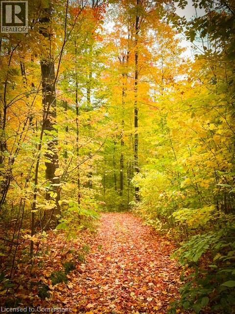 Photo 34 of 3314 Sandhills Road, Baden ON