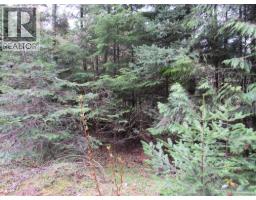 Lot B 3 Highway, Salmo, BC V0G1Z0 Photo 6