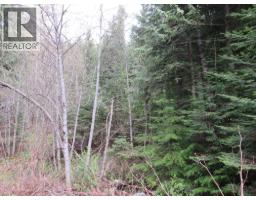 Lot B 3 Highway, Salmo, BC V0G1Z0 Photo 7
