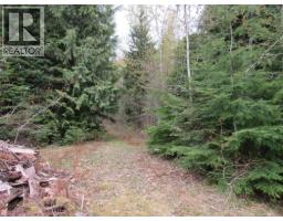 Lot B 3 Highway, Salmo, BC V0G1Z0 Photo 12