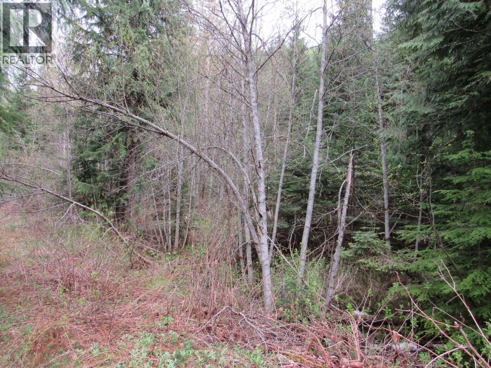 Photo 2 of Lot B 3 Highway, Salmo BC