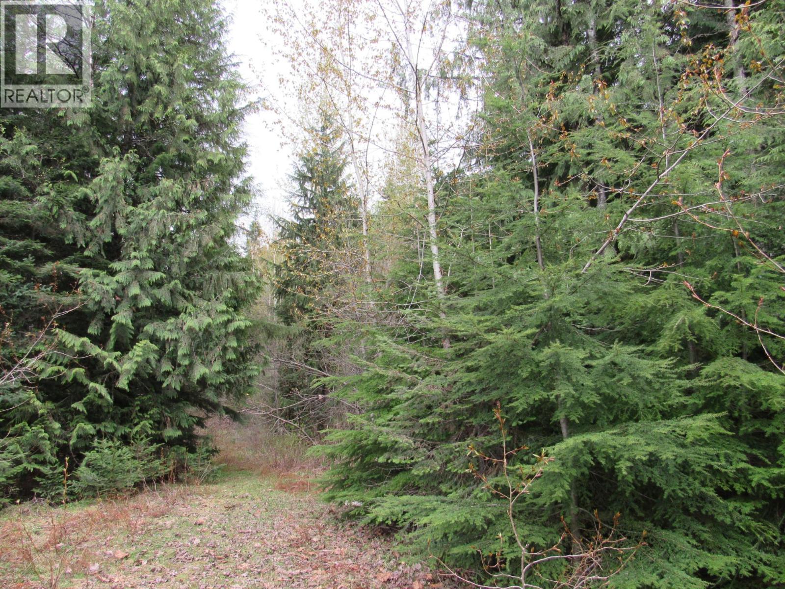 Photo 7 of Lot B 3 Highway, Salmo BC