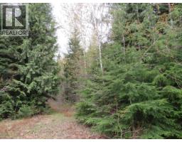 Lot B 3 Highway, Salmo, BC V0G1Z0 Photo 10
