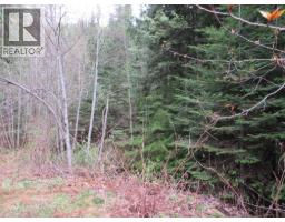 Lot B 3 Highway, Salmo, BC V0G1Z0 Photo 8