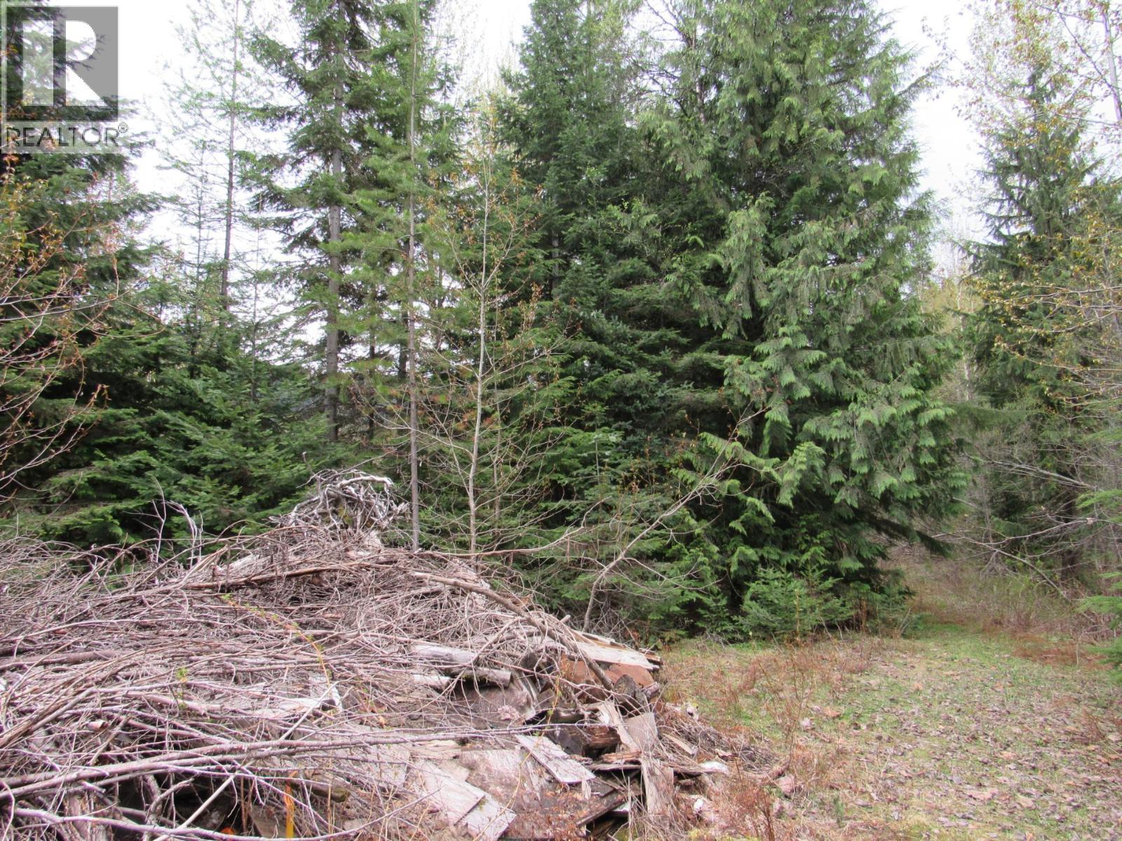 Photo 10 of Lot B 3 Highway, Salmo BC