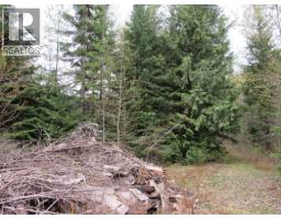 Lot B 3 Highway, Salmo, BC V0G1Z0 Photo 9