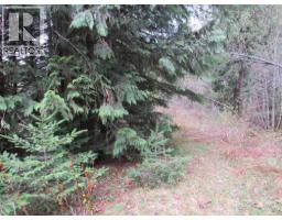 Lot B 3 Highway, Salmo, BC V0G1Z0 Photo 11