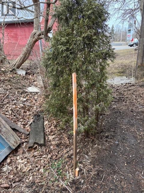 Photo 3 of Pt Lt 17 Queensway Street W, Simcoe ON