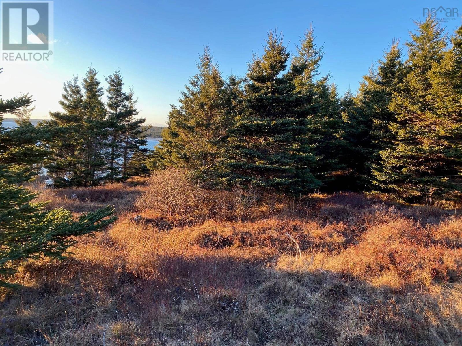 Photo 11 of Lot 26 Barachoise Point, Gegogan Harbour NS