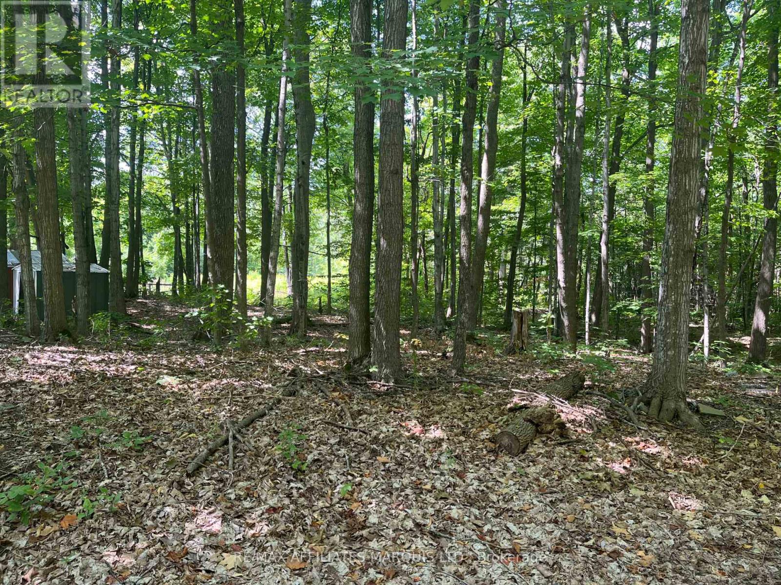Photo 12 of 4960 County Rd 34 Road, South Glengarry ON