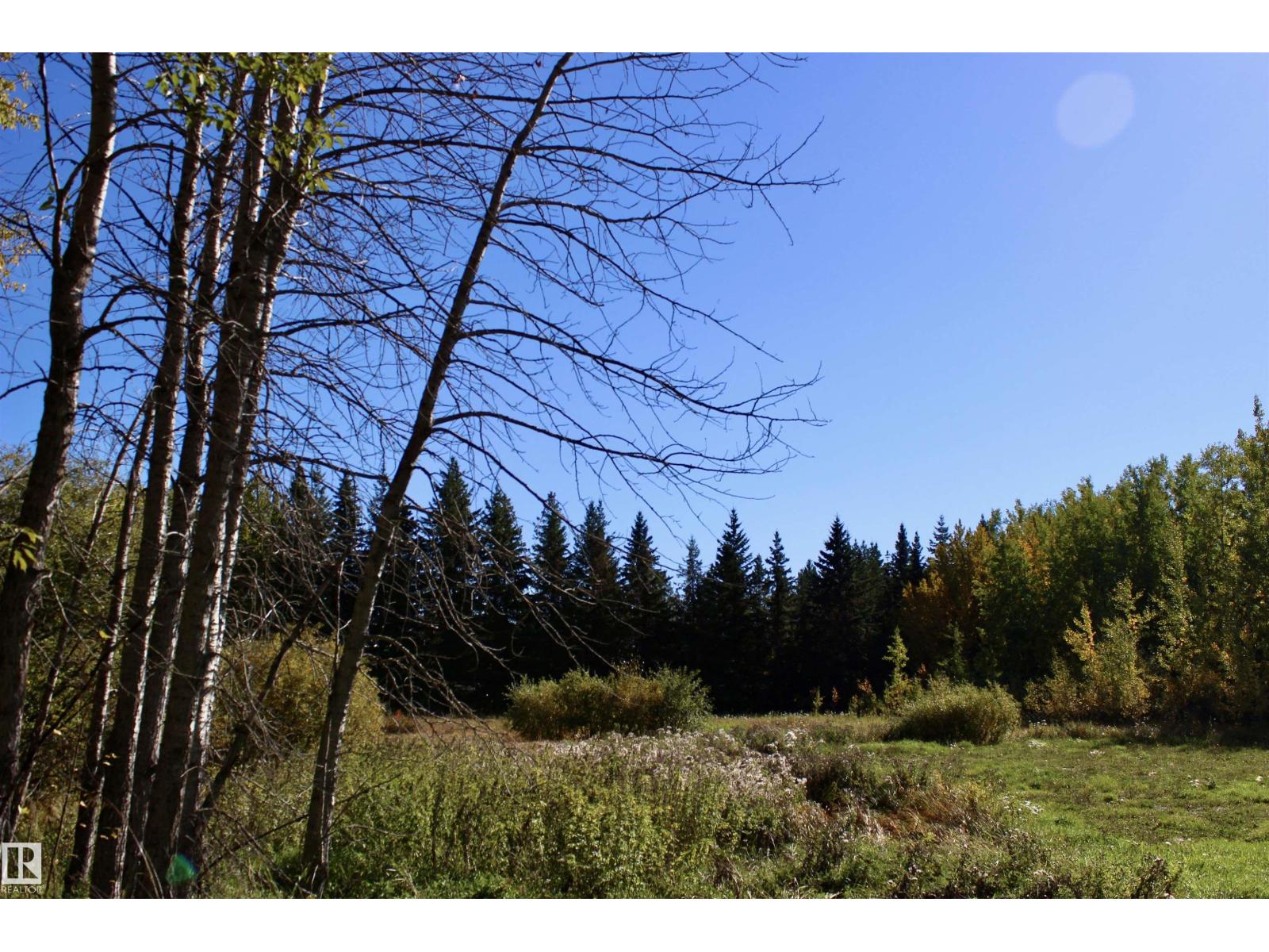 Photo 7 of 113 50529 Rge Road 21, Rural Parkland County AB