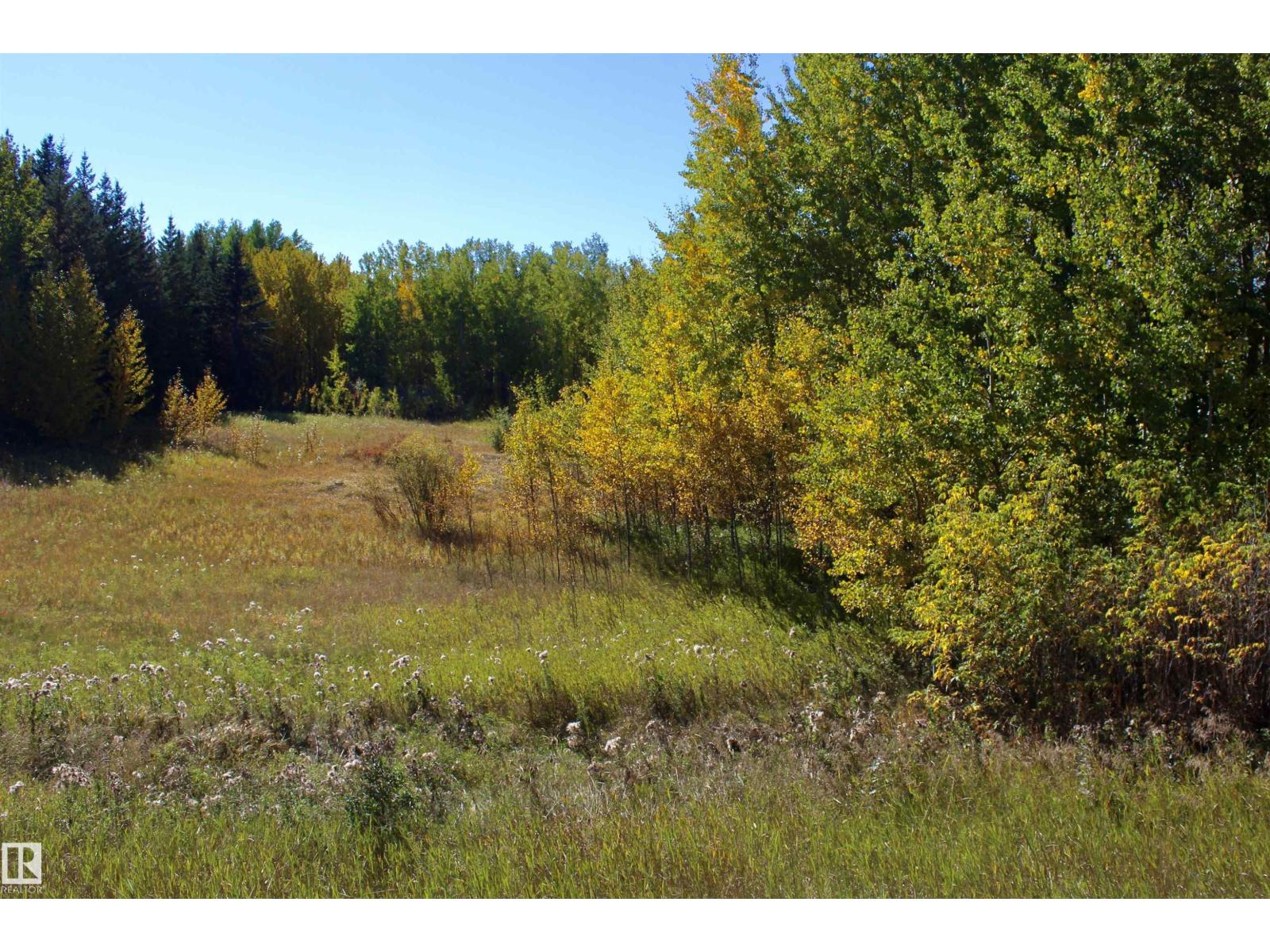 Photo 23 of 113 50529 Rge Road 21, Rural Parkland County AB