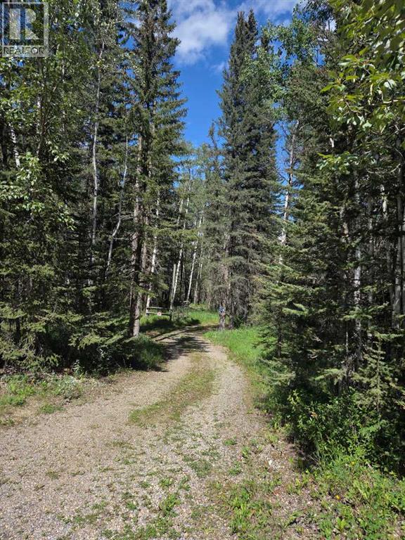 Photo 34 of 403 29542 Range Rd 52, Rural Mountain View County AB