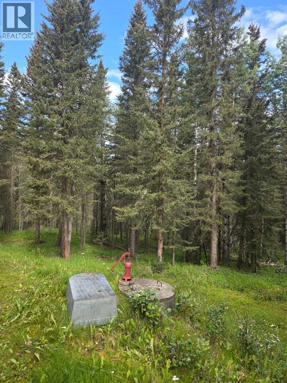 Photo 28 of 403 29542 Range Rd 52, Rural Mountain View County AB