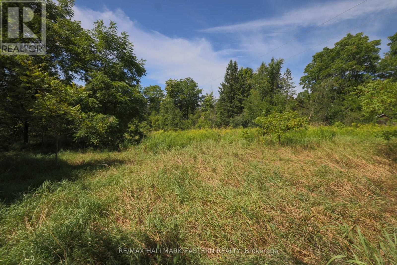 Photo 2 of 0 County Road 29, Dourodummer ON