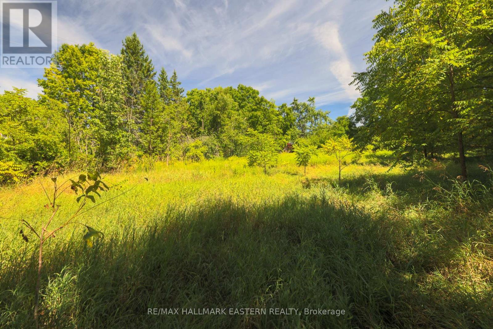Photo 3 of 0 County Road 29, Dourodummer ON