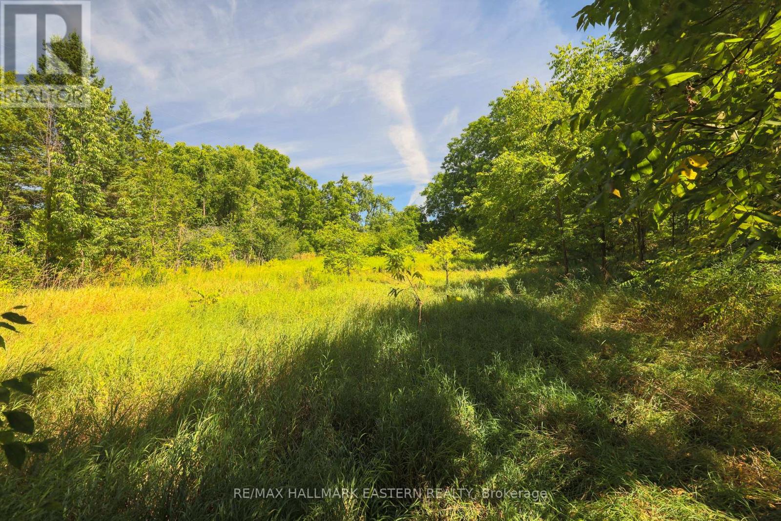 Photo 4 of 0 County Road 29, Dourodummer ON