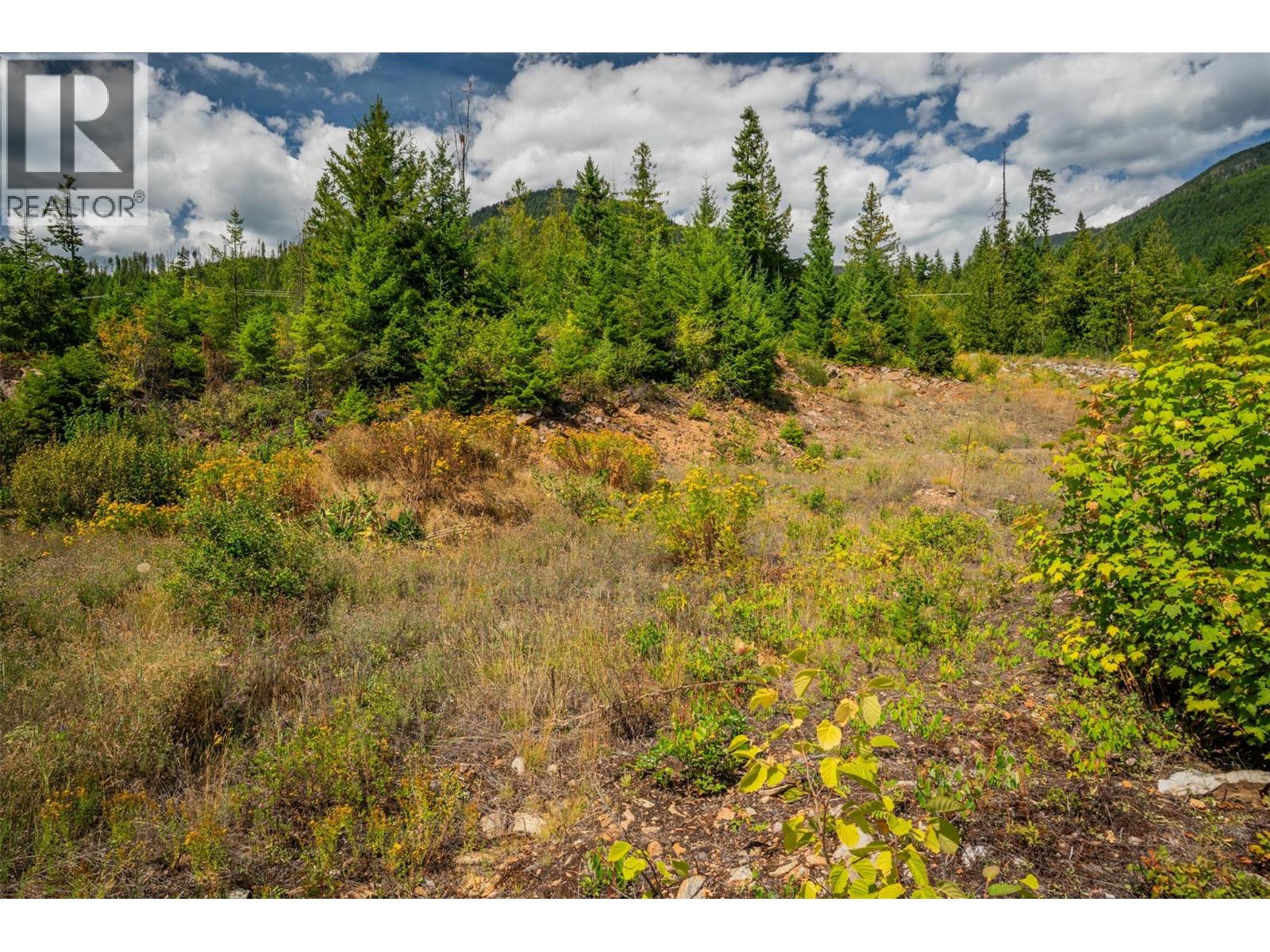 Photo 1 of 431 Buriview Drive, Nelson BC