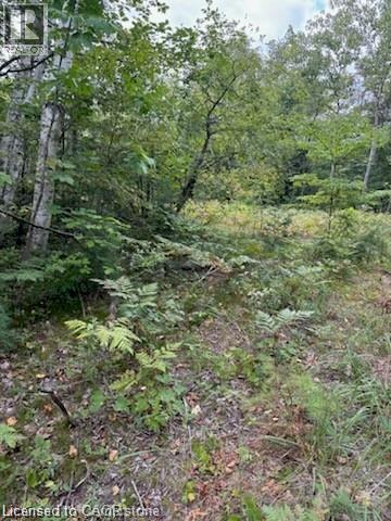 Photo 7 of Pt Lot 7 West Ipperwash Road, Lambton Shores ON