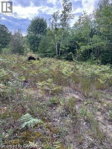 Photo 12 of Pt Lot 7 West Ipperwash Road, Lambton Shores ON