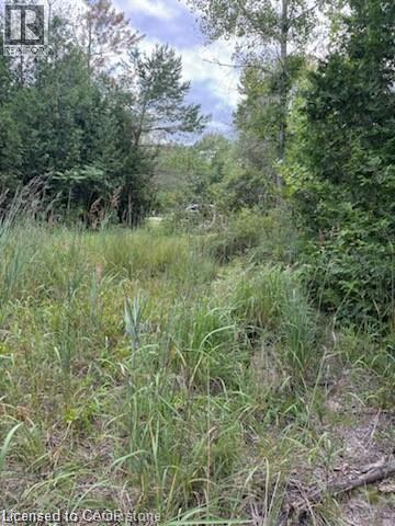 Photo 6 of Pt Lot 7 West Ipperwash Road, Lambton Shores ON