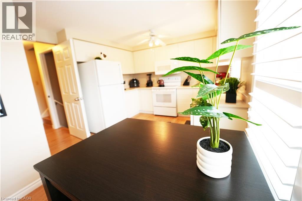 Photo 31 of 204 Quinte Court, Kitchener ON