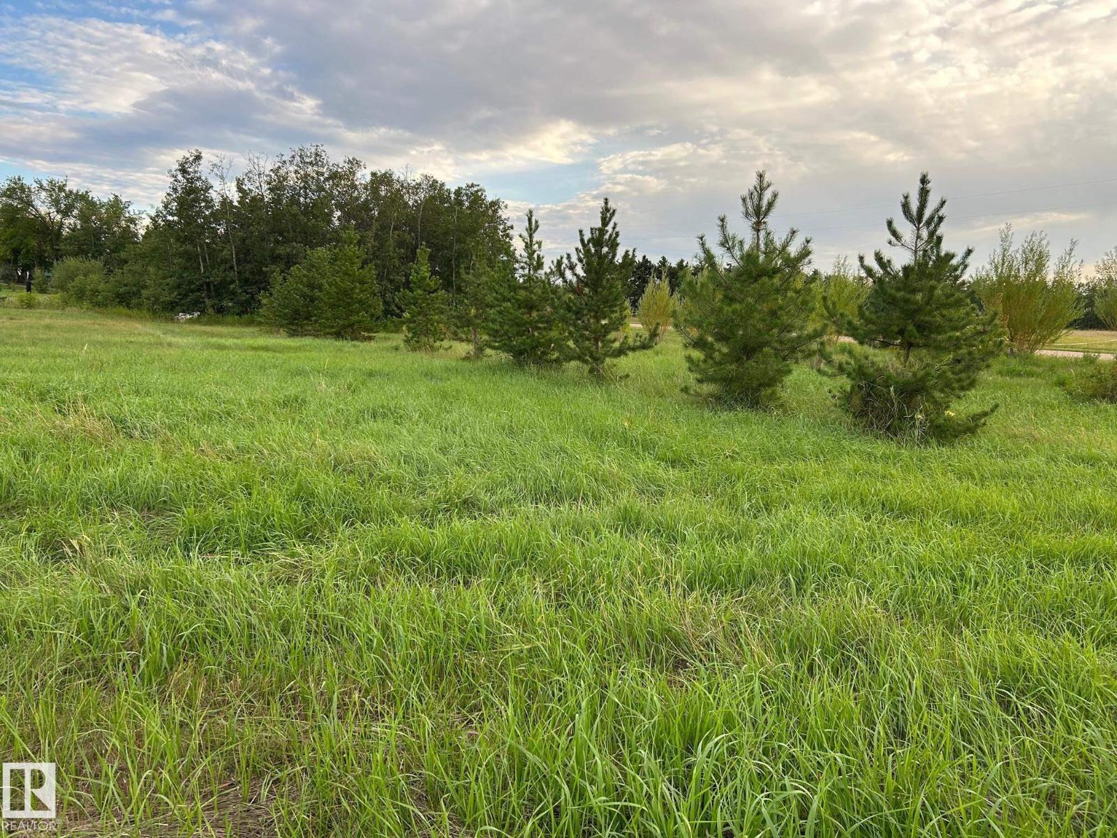 Photo 3 of 206 23229 Sh 651, Rural Sturgeon County AB